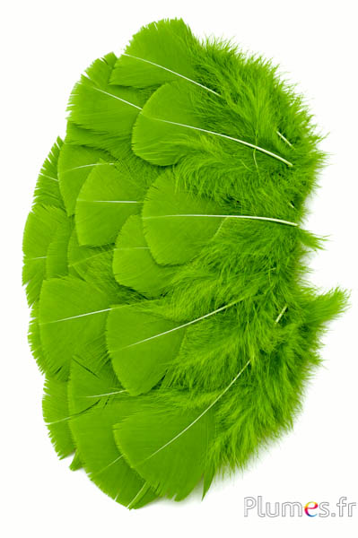 Tacchina - 6-8 cm - oliva